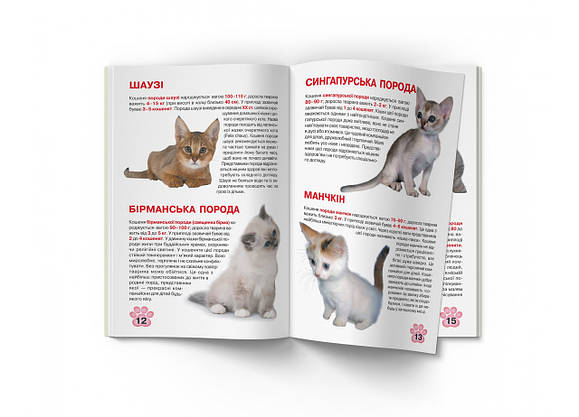 Енциклопедія Велика книжка. Кошенята, фото 5
