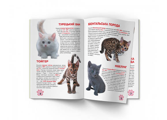 Енциклопедія Велика книжка. Кошенята, фото 3