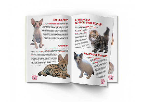 Енциклопедія Велика книжка. Кошенята, фото 4