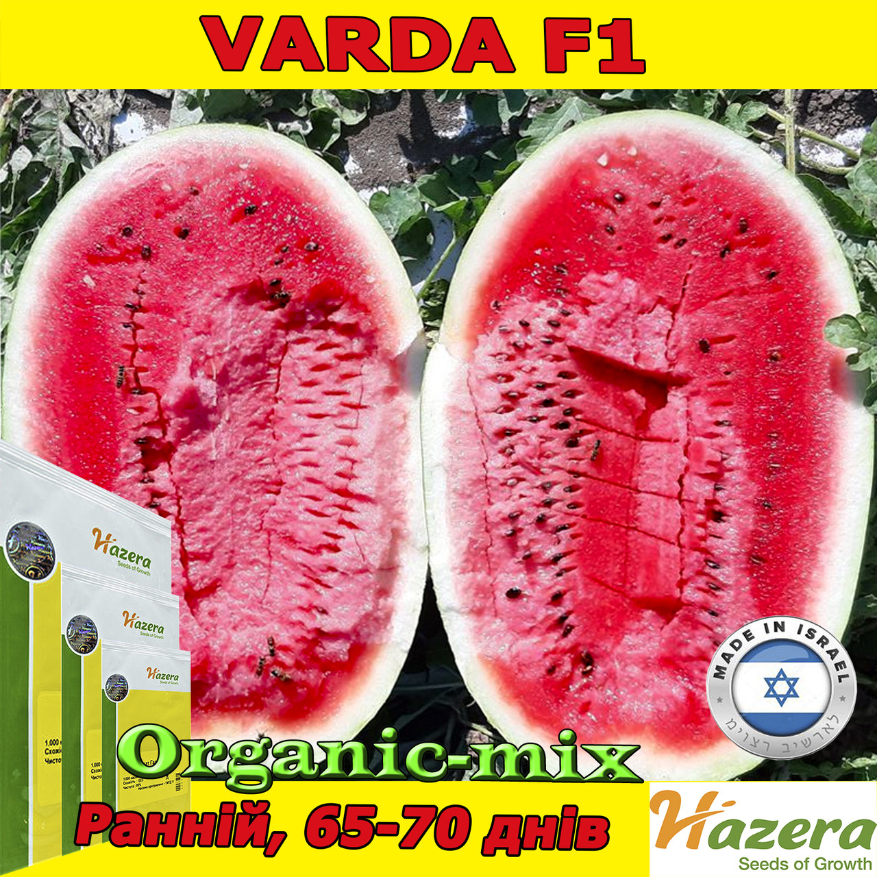 Кавун ранній Varda F1 / Варда F1 (1000 насінин) ТМ Hazera Seeds (Нідерланди)