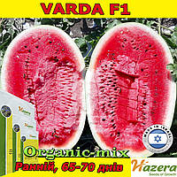 Кавун ранній Varda F1 / Варда F1 (1000 насінин) ТМ Hazera Seeds (Нідерланди)