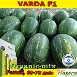 Кавун ранній Varda F1 / Варда F1 (1000 насінин) ТМ Hazera Seeds (Нідерланди), фото 2