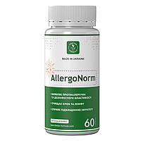 Алергонорм у разі алергічних захворювань No 60 Тибетська формула