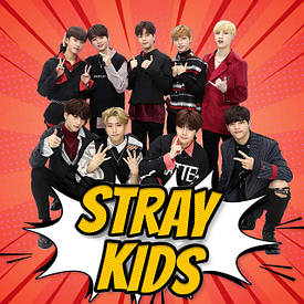 Атрибутика та сувеніри по тематиці Stray Kids