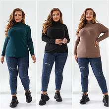 Гольф базовий трикотаж на байці весна-осінь розміри батал