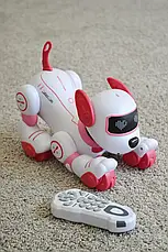 Робот собака з пультом дистанційного керування Smart stunt dog BG1533 (інтерактивна іграшка), фото 2