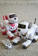 Робот собака з пультом дистанційного керування Smart stunt dog BG1533 (інтерактивна іграшка), фото 4