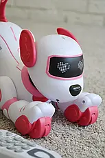 Робот собака з пультом дистанційного керування Smart stunt dog BG1533 (інтерактивна іграшка), фото 3