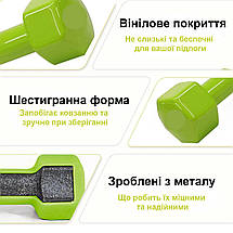 Кольорові вінілові гантелі для фітнесу на підставці Newt Vinyl Dumbbell Set 2 шт. по 2 кг, 3 кг, 4 кг (18 кг.), фото 5
