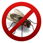 Боротьба з мухами