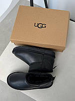 Мужские зимние Ugg Ar1175