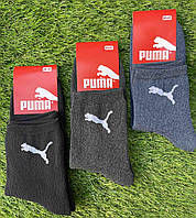 Мужские носки зимние махровые "Puma" размер 40-45 Микс (от 12 пар)