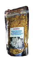 Бузина