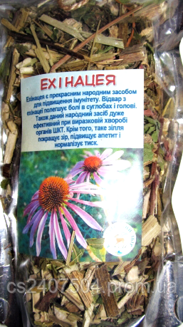 Ехінацея