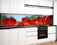 Наклейка на кухонный фартук 65 х 250 см, фотопечать с защитной ламинацией Маки в поле (БП-s_fl11681-2)