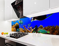 Наклейка на кухонный фартук 65 х 300 см, фотопечать с защитной ламинацией рыбы, море, кораллы (БП-s_an169-4)