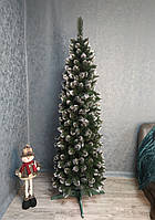 Ялинка Лідія Конусна