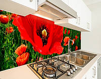 Наклейка на кухонный фартук 65 х 250 см, фотопечать с защитной ламинацией маки красные в поле (БП-s_fl137-2)