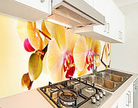 Наклейка на кухонный фартук 60 х 300 см, фотопечать с защитной ламинацией Орхидеи желтые (БП-s_fl203-3)