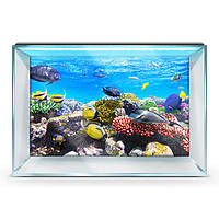 Наклейка с рыбами и морской флорой для аквариума 40х65 см.