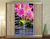 Наклейка для шкафа-купе 220 х 60 см на 2 двери орхидея на воде (БП_а_fl11724)