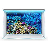 Яркая наклейка в аквариум с морским миром 55х90 см.