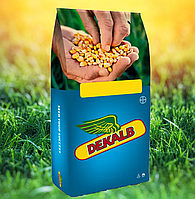 Насіння кукурудзи ДКС3050 (Dekalb) ФАО 200