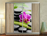 Наклейка для шкафа-купе 220 х 60 см на 2 двери орхидея (БП_а_fl12415)