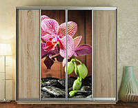 Наклейка для шкафа-купе 220 х 60 см на 2 двери ветка орхидеи (БП_а_fl12518)