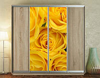 Наклейка для шкафа-купе 220 х 60 см на 2 двери желтые розы (БП_а_fl12650)