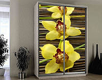 Наклейка на шкаф-купе 220 х 74 см на 2 двери желтые орхидеи (БП_а_fl102168)