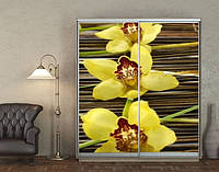 Наклейка на шкаф-купе 220 х 102 см на 2 двери желтые орхидеи (БП_а_fl102168)