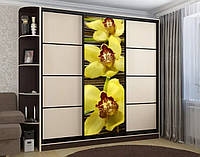 Наклейка на шкаф-купе 220 х 74 см на 1 дверь желтые орхидеи (БП_с_fl102168)