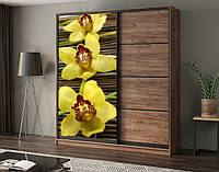 Наклейка на шкаф-купе 220 х 102 см на 1 дверь желтые орхидеи (БП_с_fl102168)