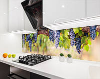 Наклейка на кухонный фартук 60 х 200 см, фотопечать с защитной ламинацией Виноградные гроздья (БП-s_ed613)