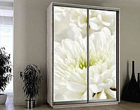Наклейка для шкафа-купе 220 х 74 см на 2  двери белые цветы (БП_а_fl10615)
