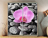 Наклейка на шкаф-купе 220 х 102 см на 2 двери орхидея на камнях (БП_а_fl13322)