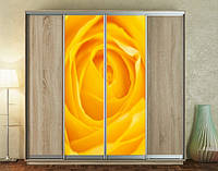 Наклейка для шкафа-купе 220 х 60 см на 2 двери желтая роза (БП_а_fl10825)