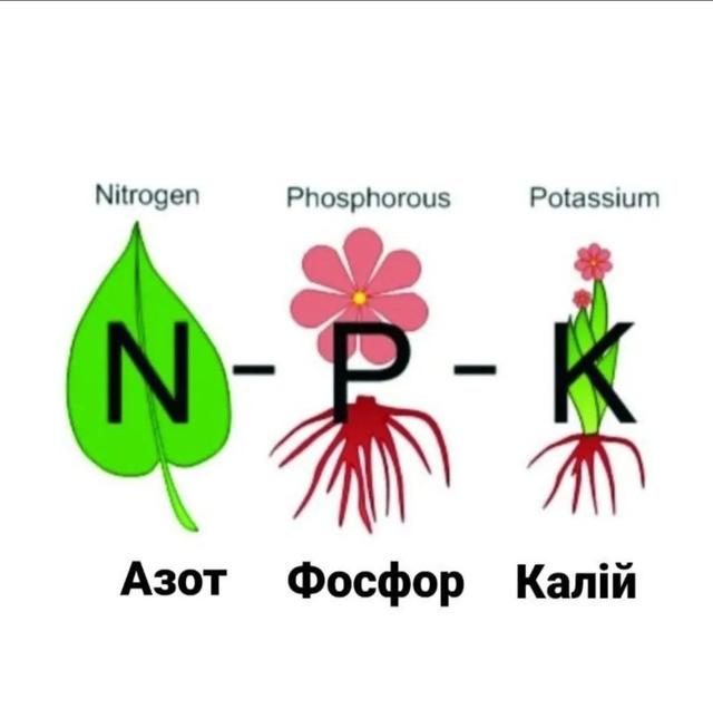 NPK