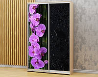 Наклейка на шкаф-купе 220 х 60 см на 2 двери орхидеи (БП_а_fl13439)
