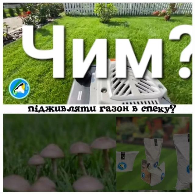 Газонні добрива