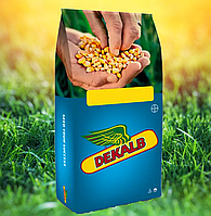 Семена кукурузы ДКС4408 Max Yield (Dekalb) ФАО 340