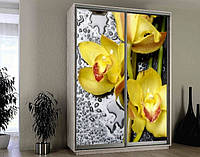 Наклейка на шкаф-купе 220 х 74 см на 2 двери орхидеи (БП_а_fl13819)