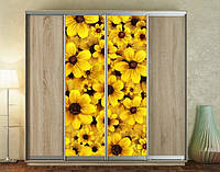 Наклейка на шкаф-купе 220 х 60 см на 2 двери желтые цветы (БП_а_pol_fl169)