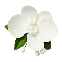 Орхидея с бутонами d11 Белая/Розовая/Красная сахарный декор Флористика