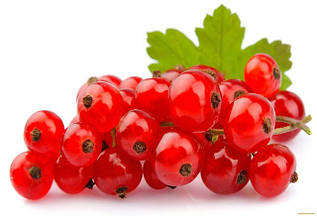 СМОРОДИНА ЧЕРВОНА