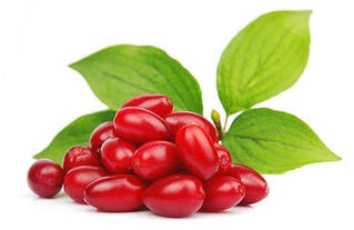 ДЕРЕН / КІЗІЛ