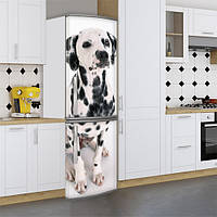 Наклейки для холодильника, із собакою далматинцем, 180х60 см - Лицьова (В), з ламінуванням