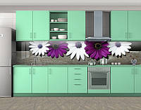 Наклейка на кухонний фартух 60 х 300 см, з фотодруком та захисною ламінацією Гербери білі і фіолетові (БП-s_fl11638)
