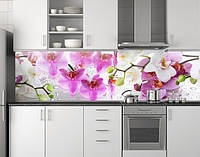 Кухонная панель, Розовые и белые орхидеи ПЭТ 62х205 см толщина 1,2 мм